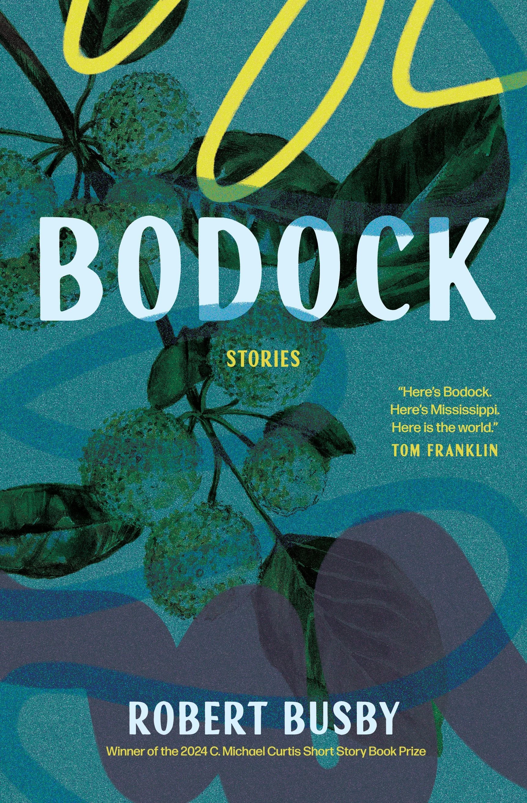 Book cover image for Bodock: Stories ISBN: 9798885740548